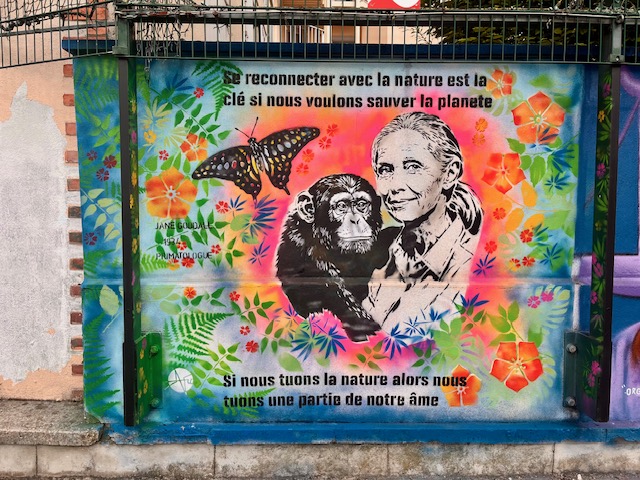 Les 12 fresques de Colombes